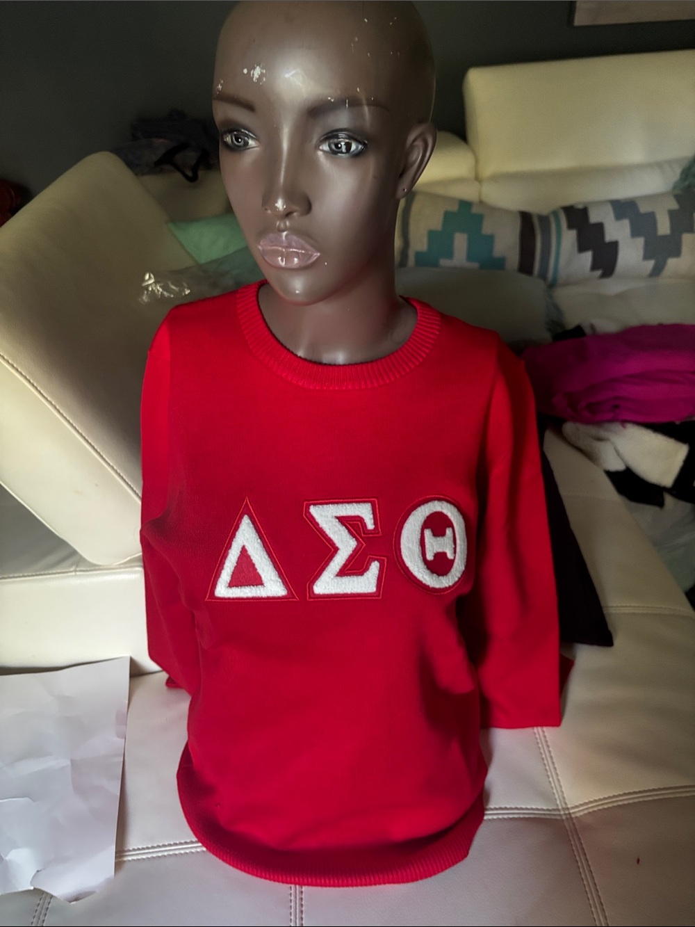 Red Delta Sigma Theta Embroidered Kids Sweatshirt